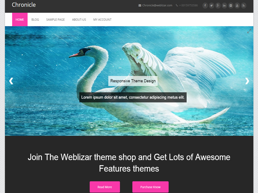 Chronicle – WordPress Themes